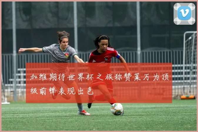 加维期待世界杯之旅称赞莱万为顶级前锋表现出色